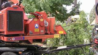 versnipperen takken tot diameter van 35 cm de snippers worden duurzaam gebruikt voor groene stroom